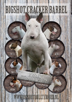 The Mirror Of Freedom - Le père de Grazia Winner studdog Trophy  Hollandais 2012!!!!