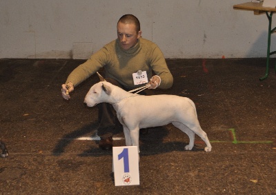 The Mirror Of Freedom - CACIB Rouen 2011